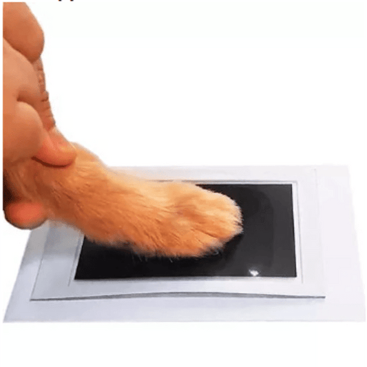 Paw Stamp Memory Kit