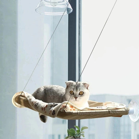 Cat Hammock